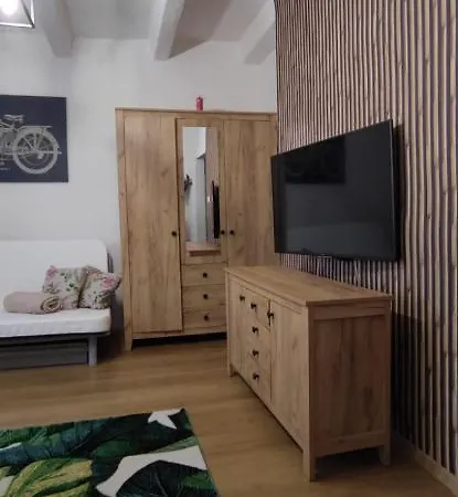 Brzezno Plaza Apartment