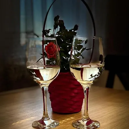 Brzezno Plaza Apartament Gdańsk